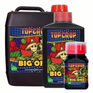Big One Top Crop