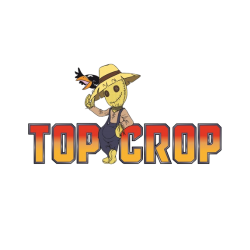 Cultihemp Distribuciones S.L, una empresa líder en la distribución de productos para GROW SHOPS en España. Con sede en Sevilla, contamos con más de 11 años de sólida experiencia en el sector.